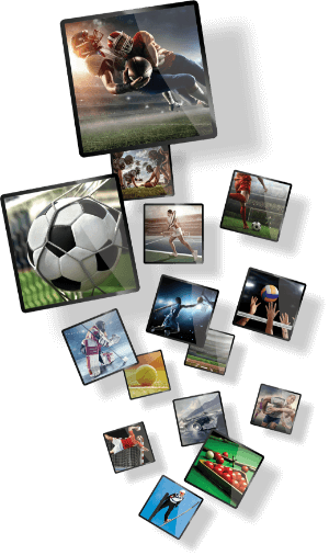 feeds_6